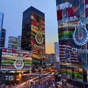 Meet your Posher, Alfonso